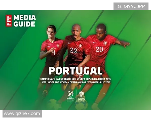 葡萄牙与马其顿的回收策略对比及其环境影响分析