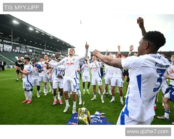 卡迪夫主场迎战埃弗顿双方争夺宝贵积分的精彩对决