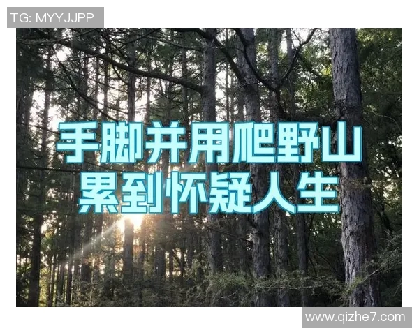 吴芳专访：从初学者到攀岩高手的成长与挑战之路